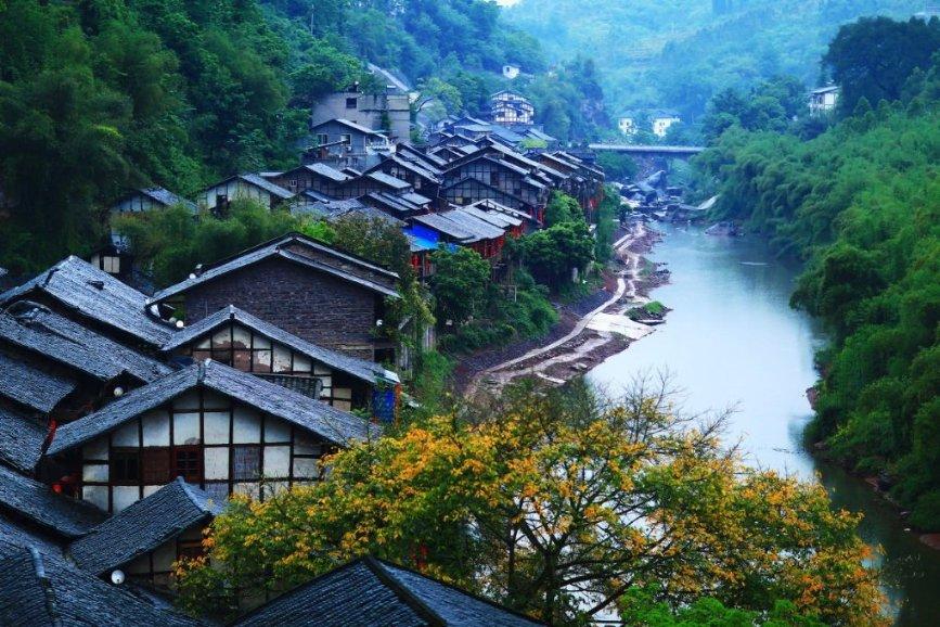 春雨直播app